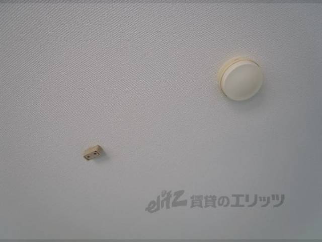 照明コンセント