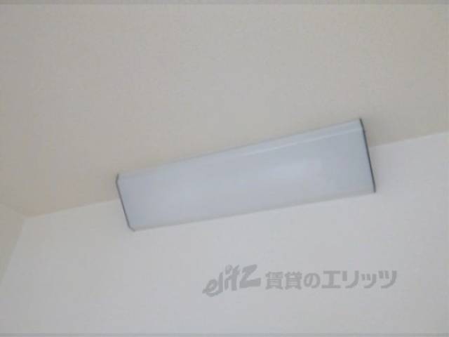 照明