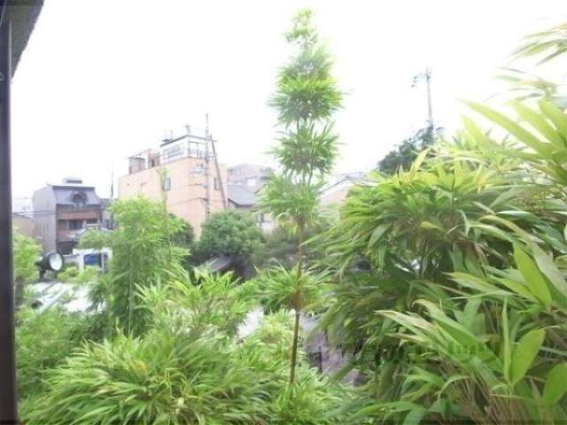 眺望　自然が感じられます
