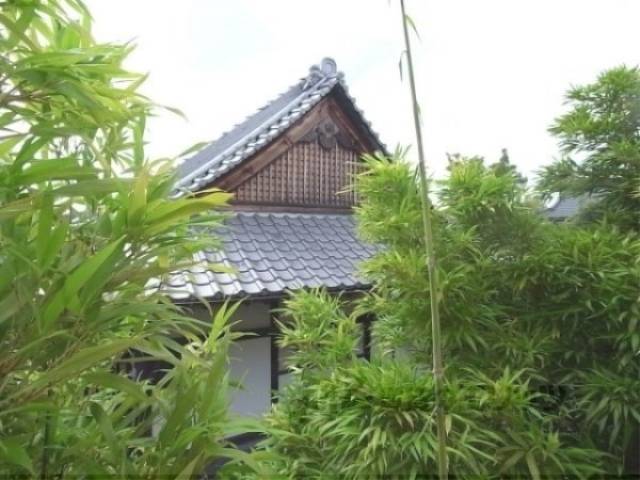 眺望　自然が感じられます