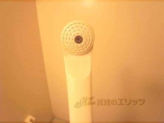 シャワーヘッド