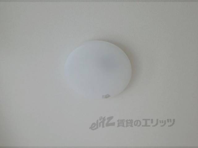 照明