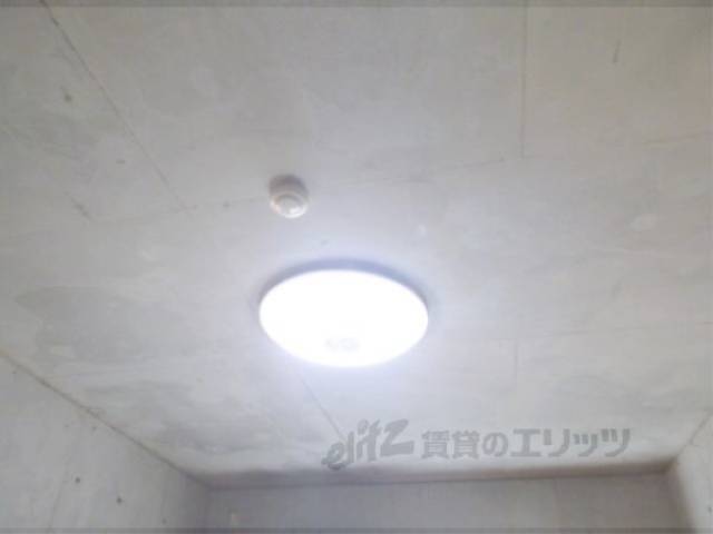 照明
