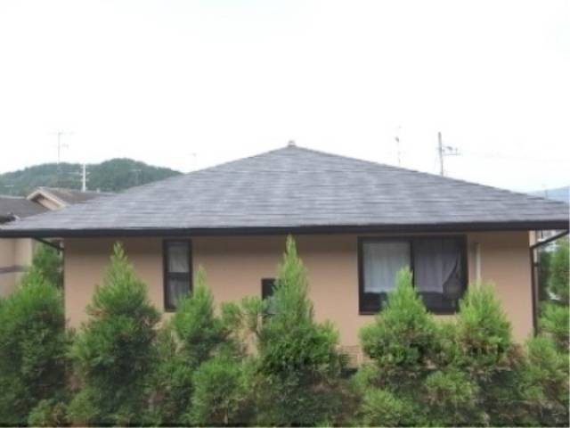 眺望　隣家と植栽が見えます