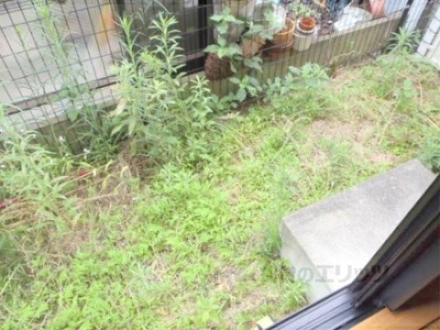庭