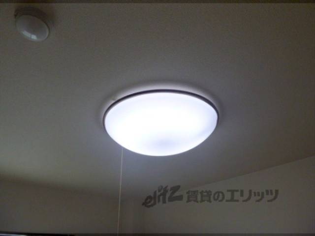 照明