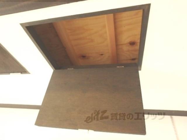 収納　棚　棚の位置は調整できます