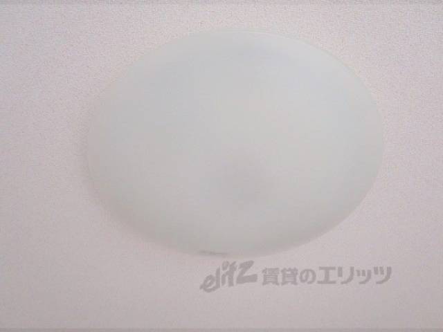照明