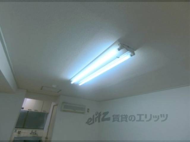 照明