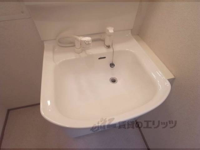 シャンプードレッサー