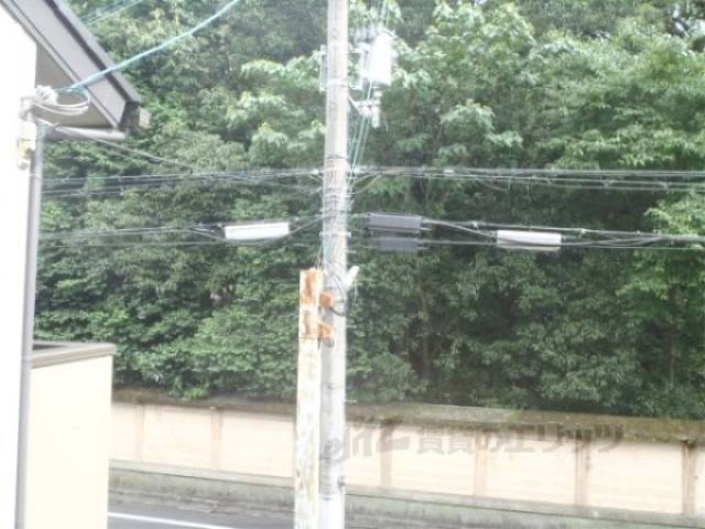 眺望　正面の森が下鴨神社です