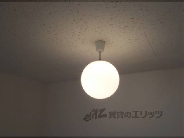 照明
