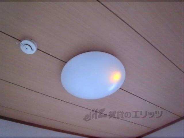 照明