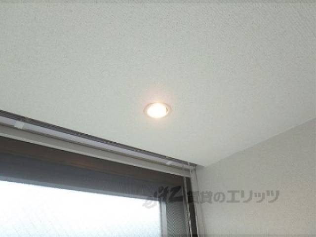 照明