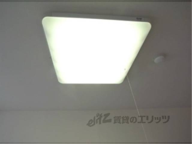 照明