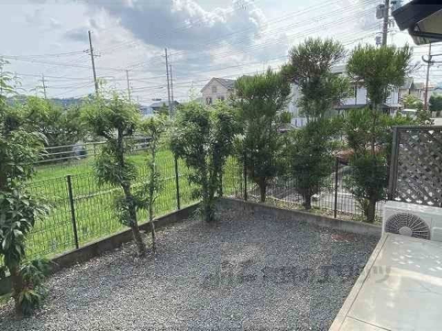 庭