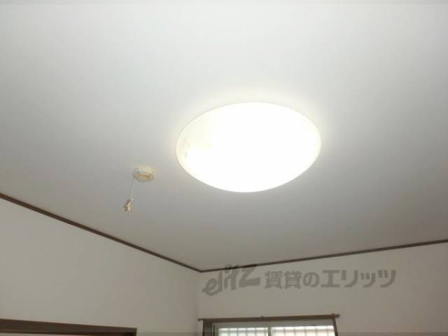 照明