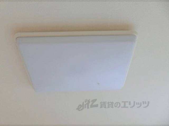 照明
