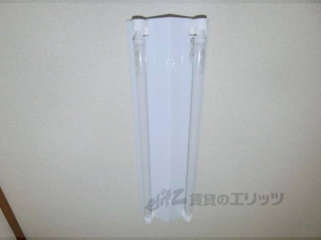 照明
