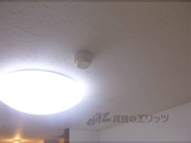 照明