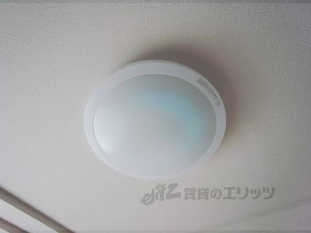 照明