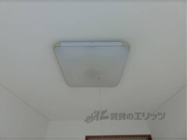 照明