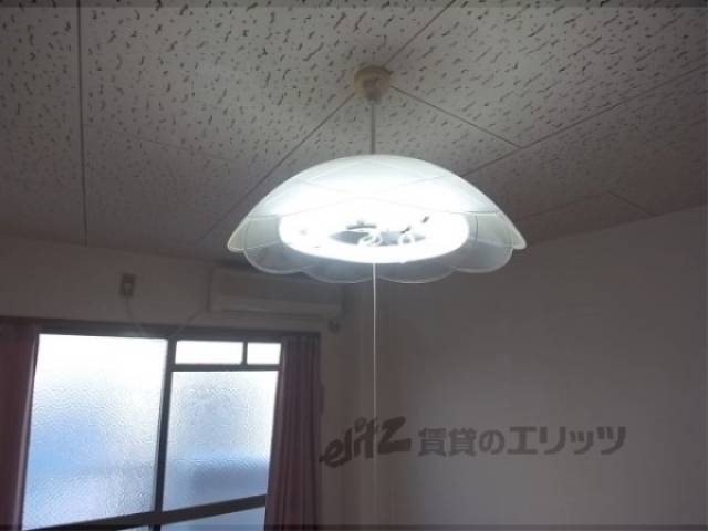 照明つき