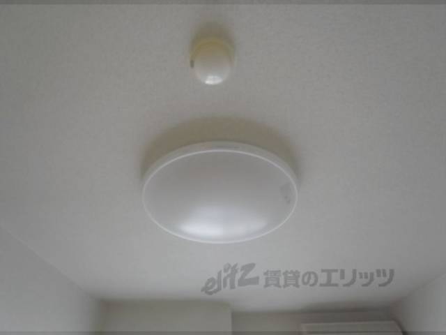 照明