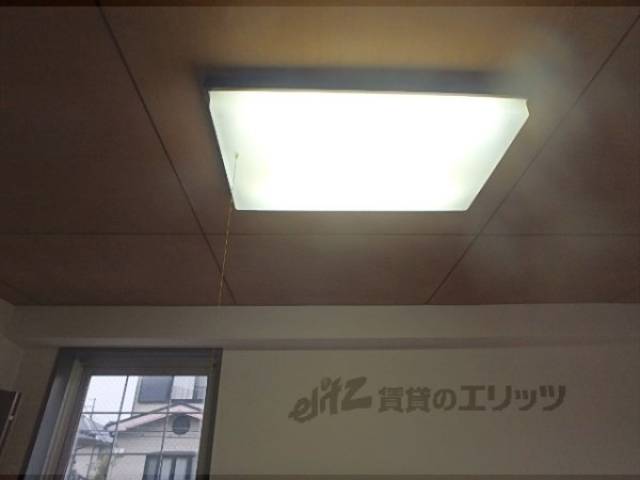 照明