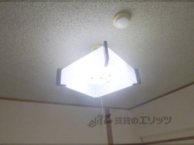 照明