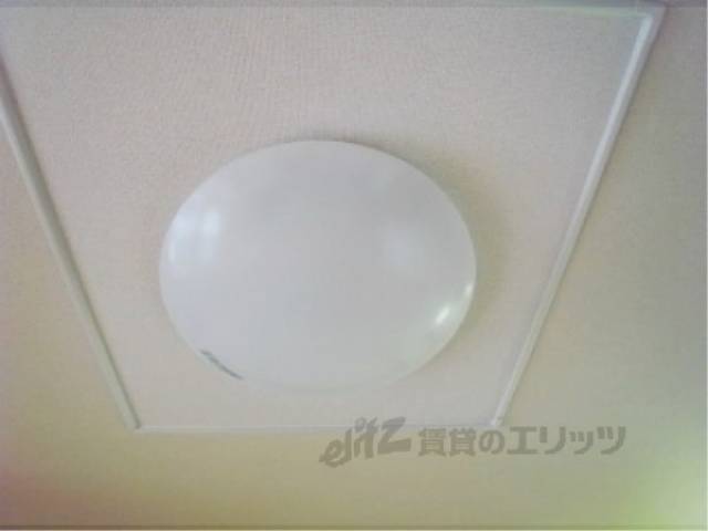照明