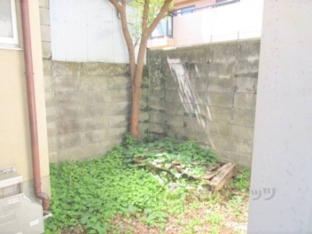 庭