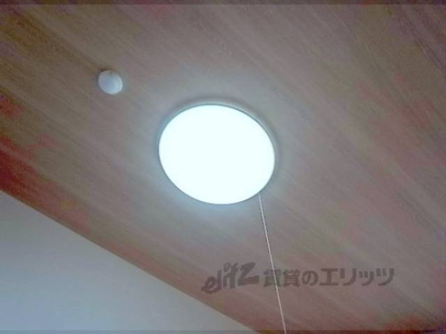 照明