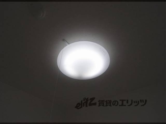 照明