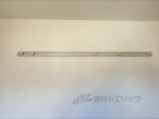 ウォールフック