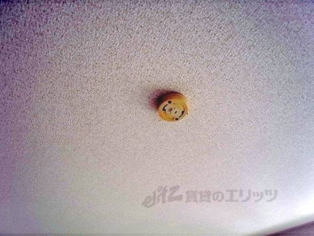 照明コンセント