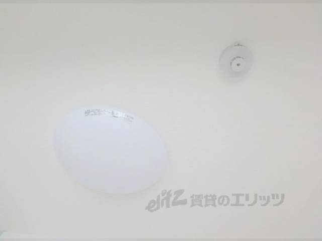 照明
