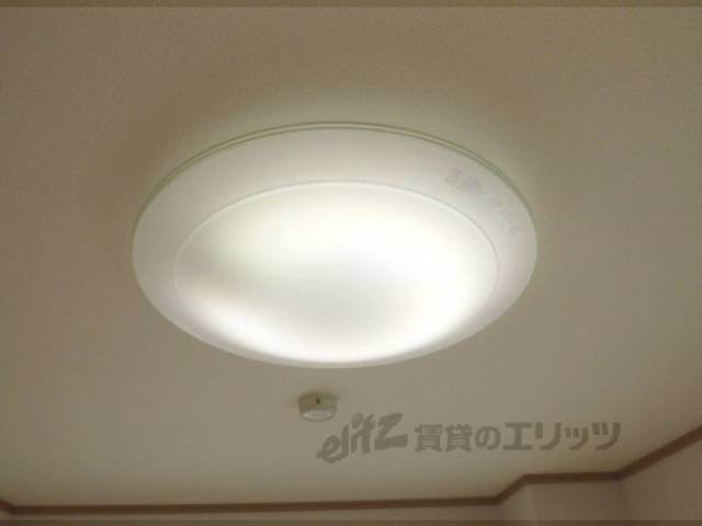 電灯