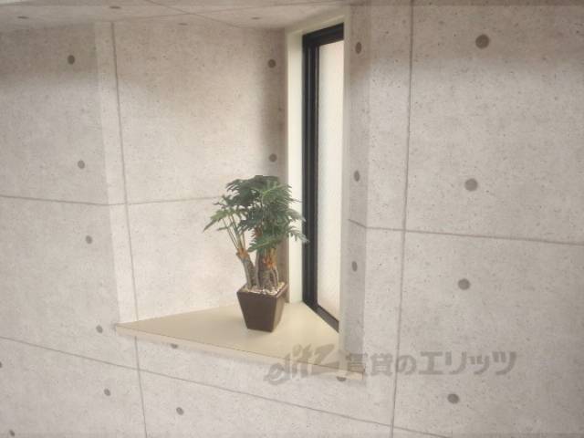 イメージ写真