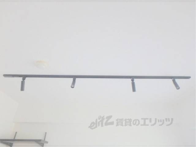 照明