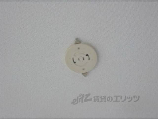 照明
