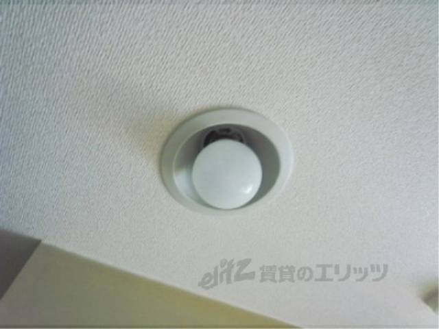 照明