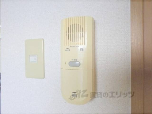 インター本