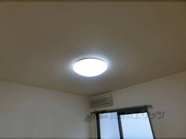 照明