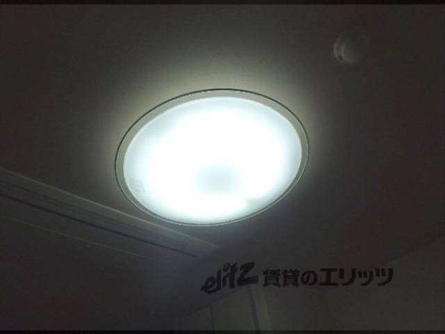照明