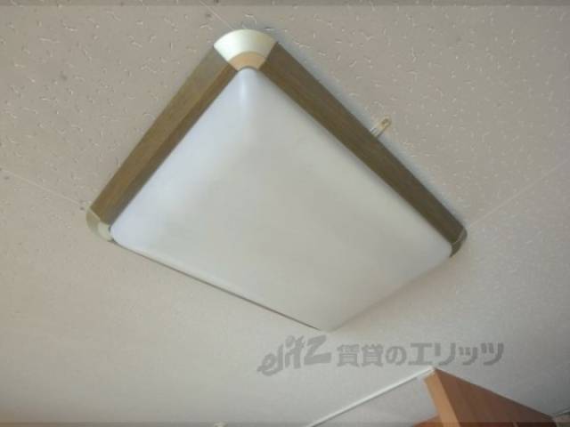 照明