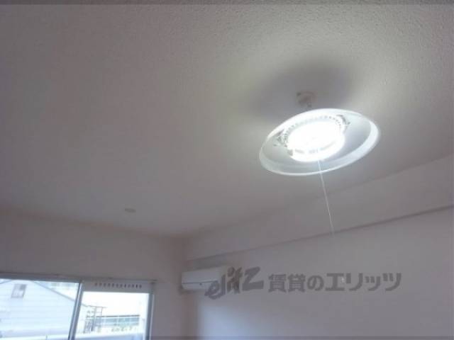 天井　照明設置箇所は二ヶ所です