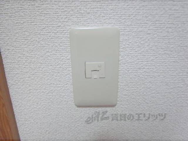 インターネット線