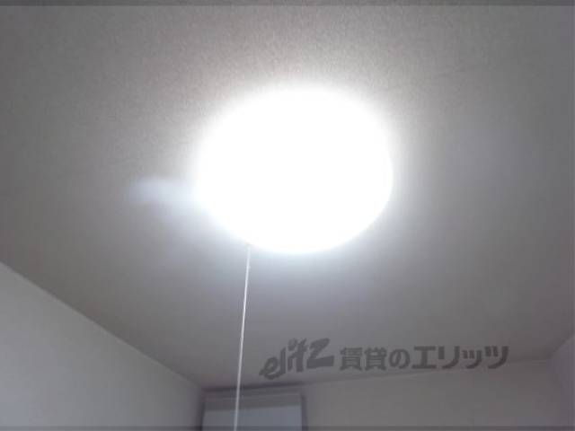 照明　洋室の照明です