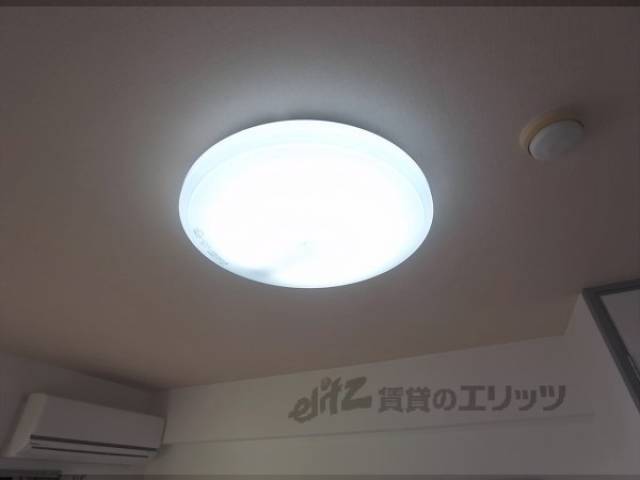 照明